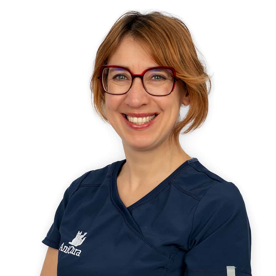 Eva Vandermeulen