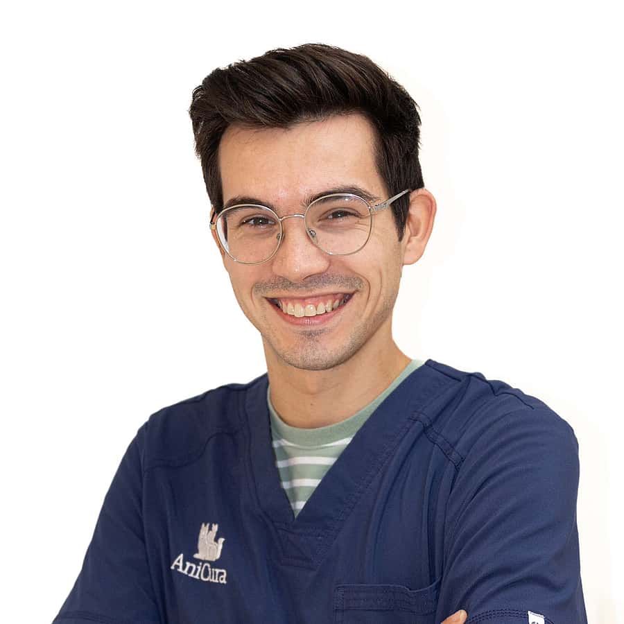 Arnaud Cnockaert
