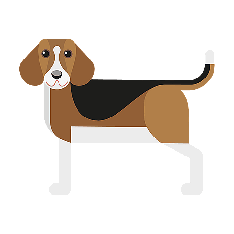 beagle