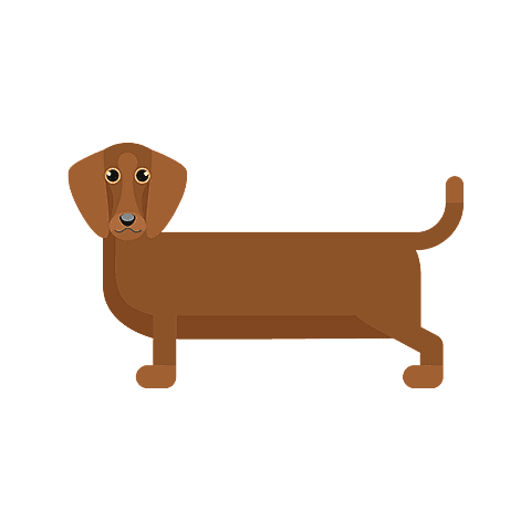 teckel