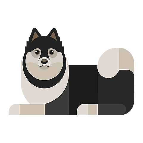 finse-lappenhond