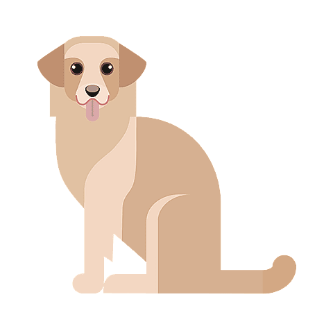 golden-retriever