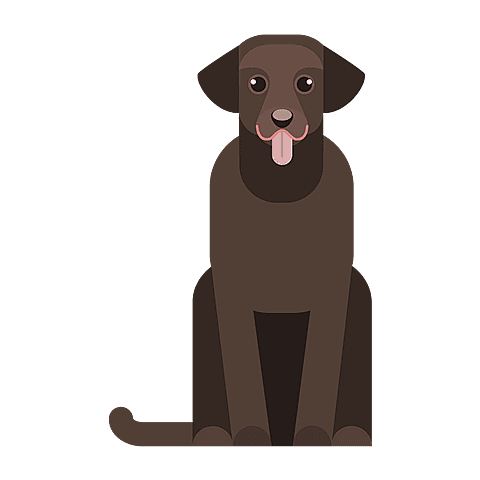 labrador-retriever