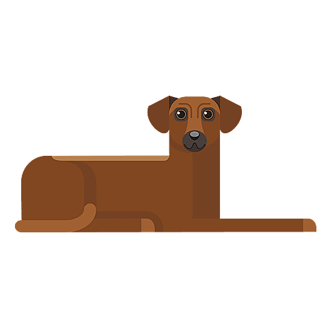 rhodesian-ridgeback