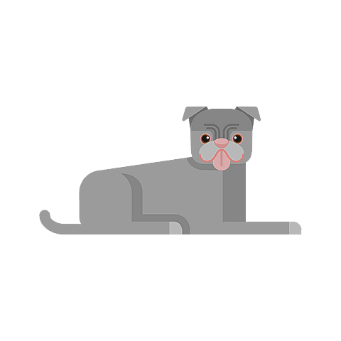 staffordshire-bull-terrier