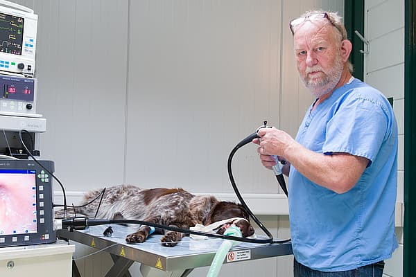 Een persoon in een scrub die een slang vasthoudt aan een hond die op een tafel ligt.