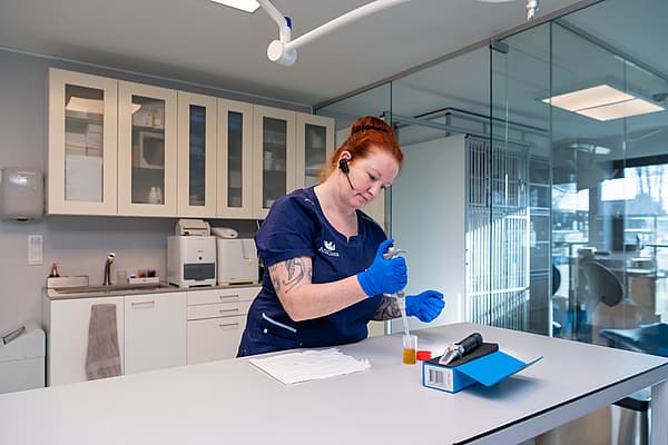 Een persoon in blauwe scrubs en handschoenen die een druppelaar vasthouden.