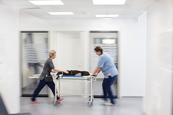 Een paar verpleegsters die een brancard duwen.