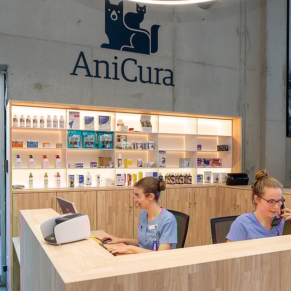 Een paar vrouwen die aan een bureau zitten.