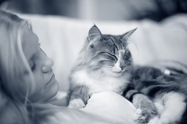 Meisje en kat