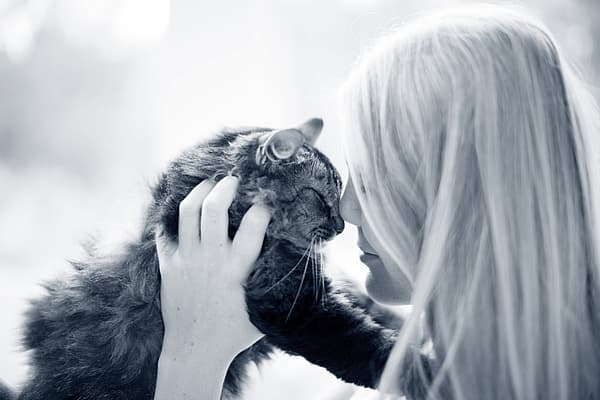 Kat en baasje neus tegen neus