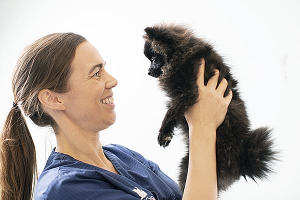 Dierenarts houdt puppy in de lucht