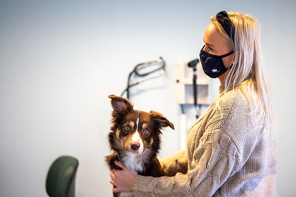 Hond en zijn baasje met een mondmasker