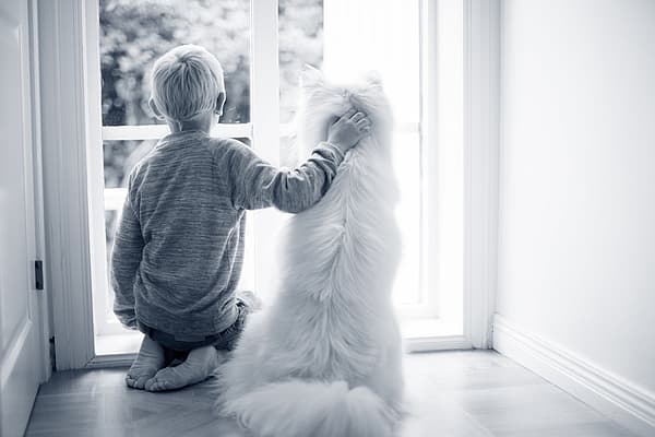 Jongen zit met hond aan het raam