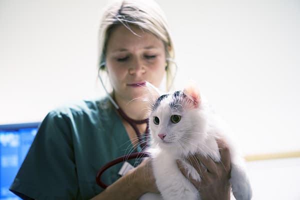 Een persoon die een kat vasthoudt.