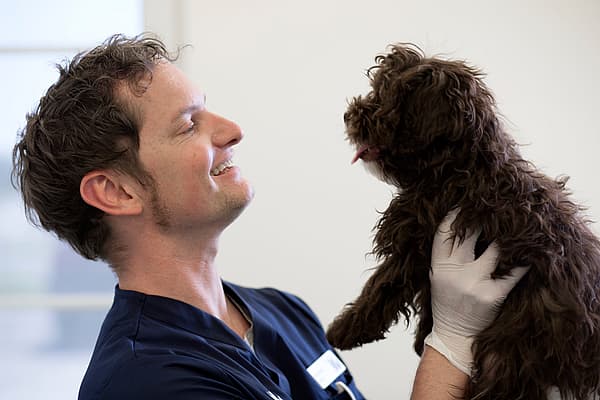 Dierenarts houdt hondje in de lucht en kijkt het glimlachend aan