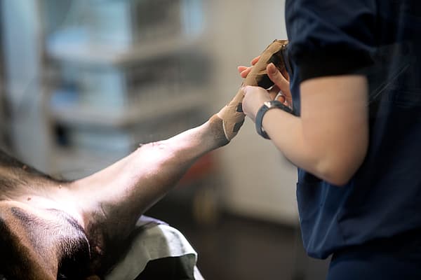 De hand van een persoon die op de arm van een persoon wordt aangebracht.