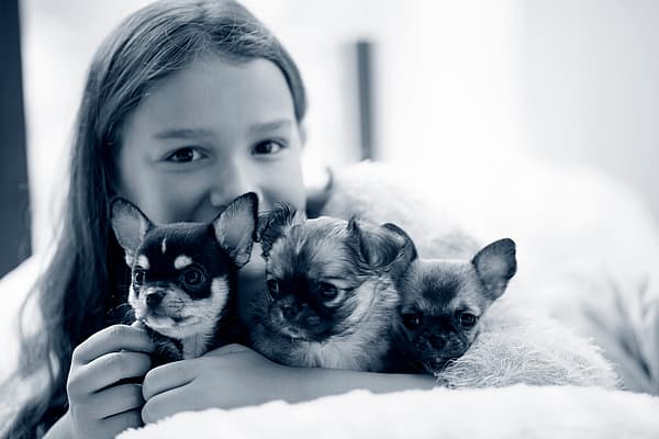 Een kind dat een groep puppy's vasthoudt.