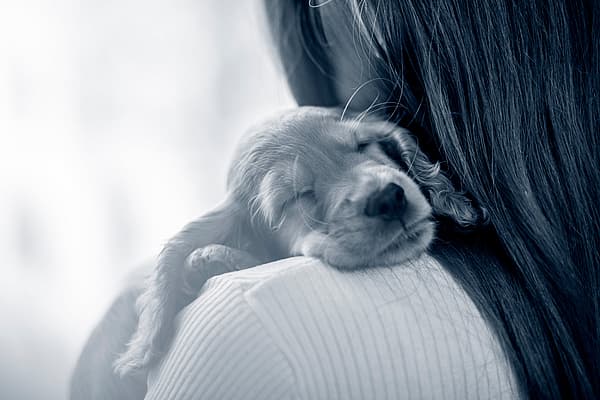 Puppy slaapt op de schouder van een meisje