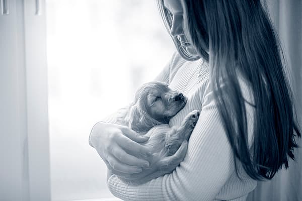 Puppy in de armen van een meisje