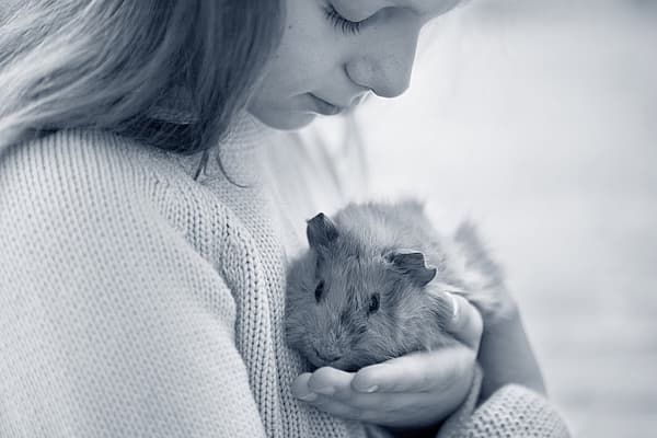 Meisje kijkt naar cavia in haar hand