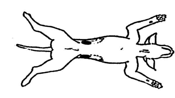 Un dessin d’une personne allongée sur le dos.
