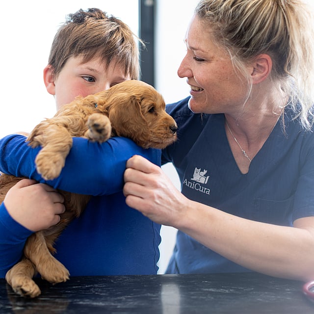 jongen-houdt-puppy-vast