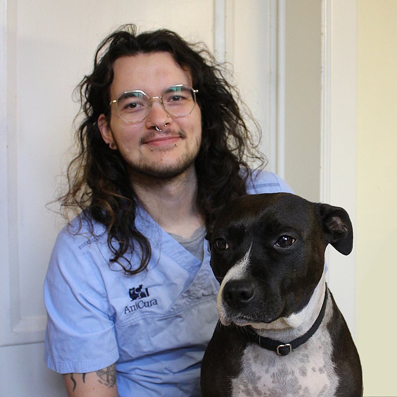 Foto van Ayden Haelterman, Dierenartsassistent
