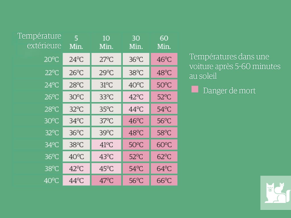Une capture d’écran d’un graphique.