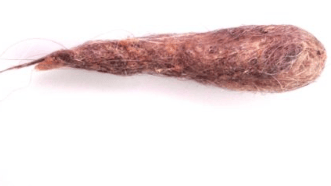 Een close-up van een bruin object.