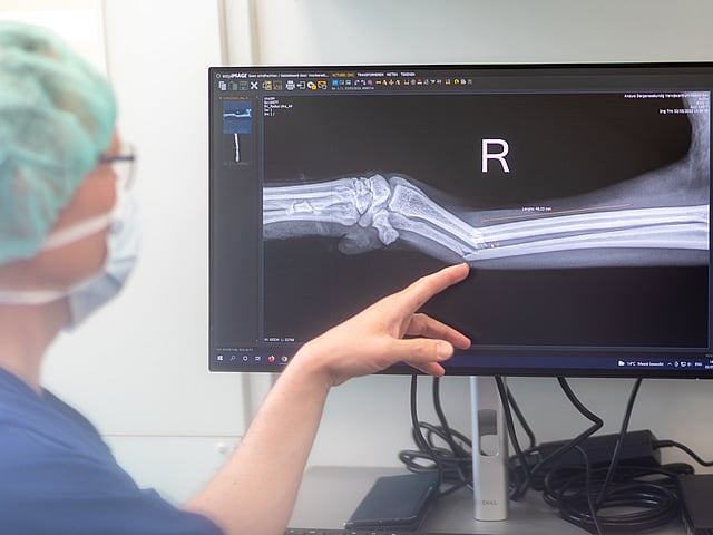 Een persoon die naar een computerscherm wijst.