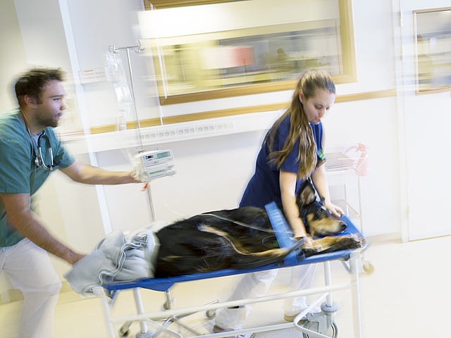 Clinique d'urgence