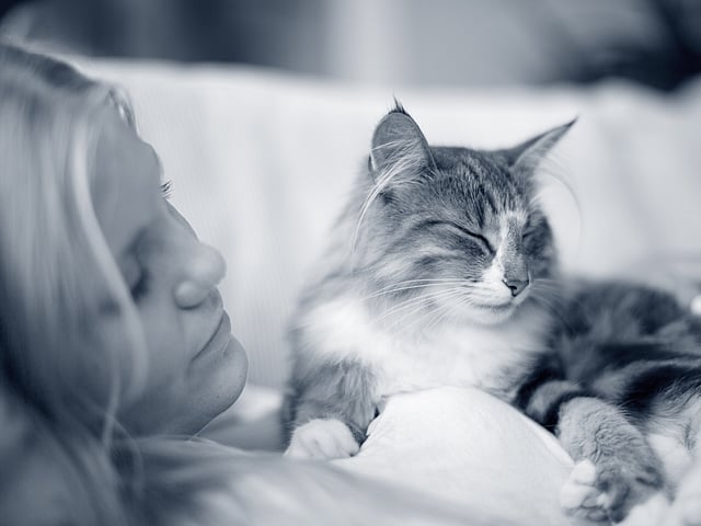 Kat en meisje