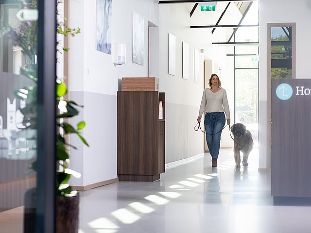 Een persoon die een hond uitlaat in een gang.