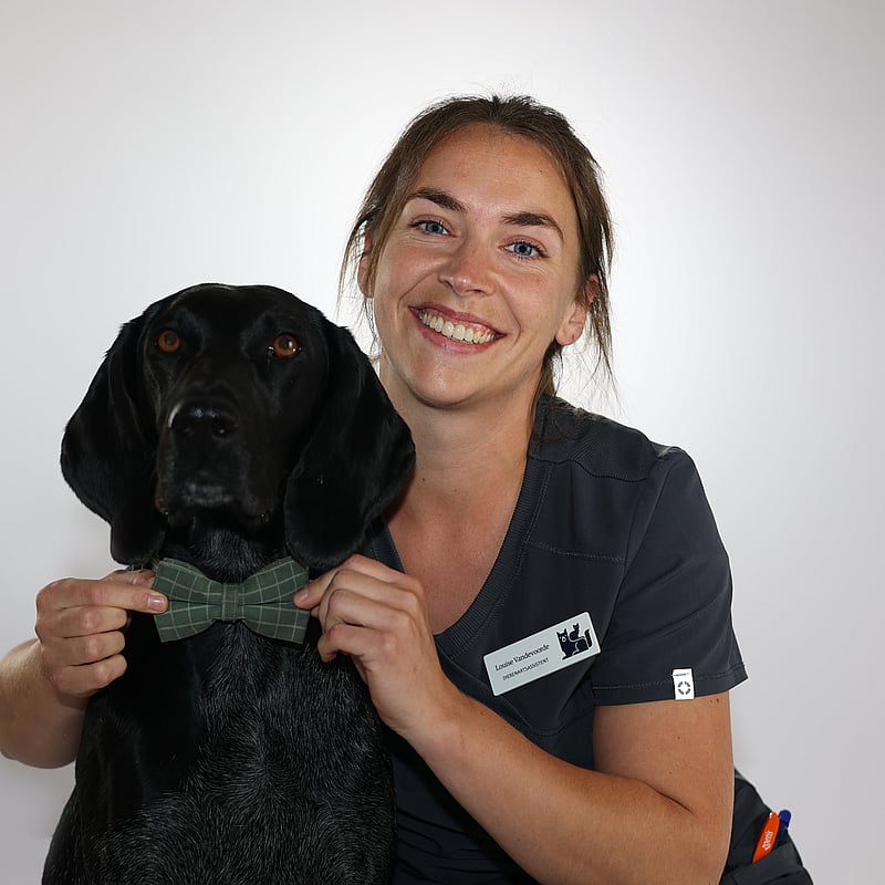 Photo de Louise Vandevoorde, Assistante Vétérinaire