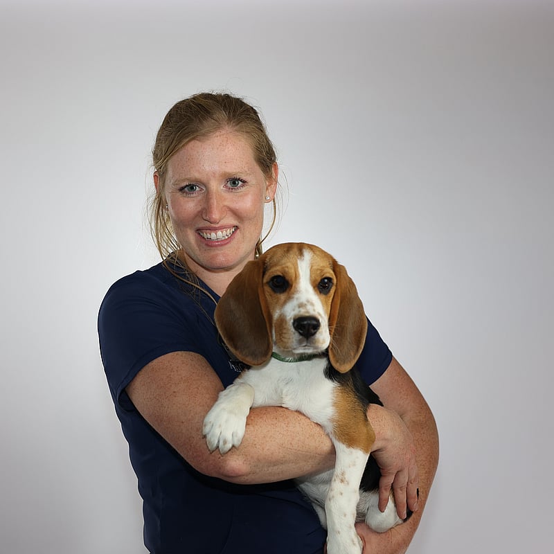 Foto van Katlien Rasquin, Dierenarts