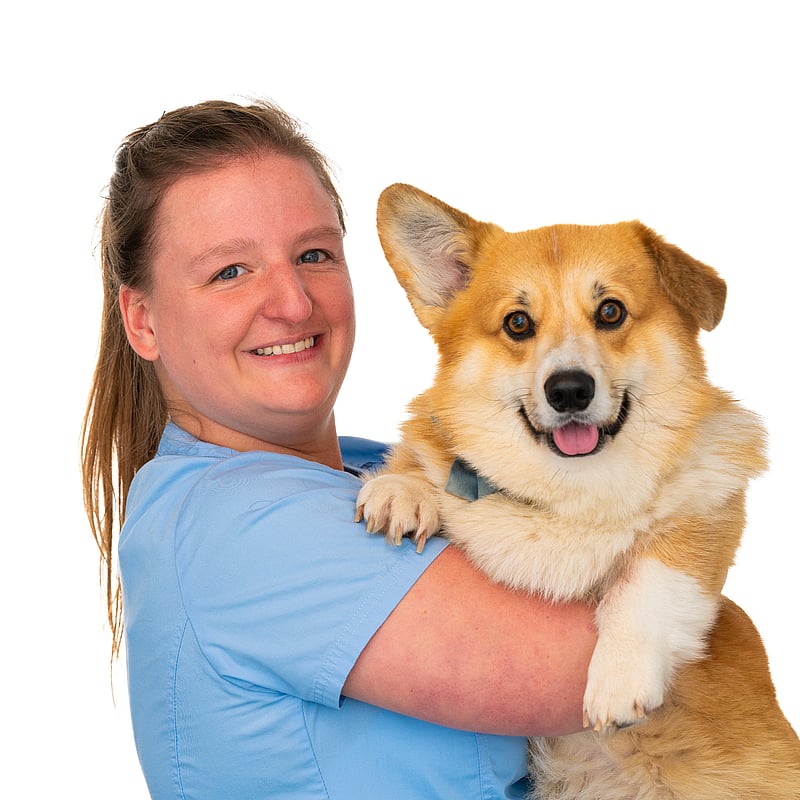 Foto van Sara Simpelaere, Dierenarts