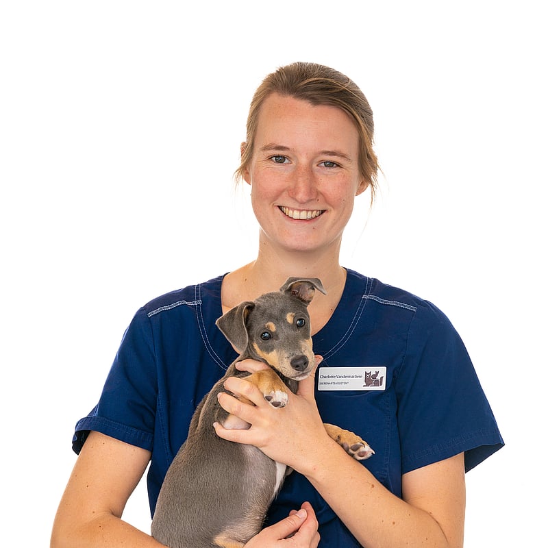 Foto van Charlotte Vandermarliere, Dierenartsassistente