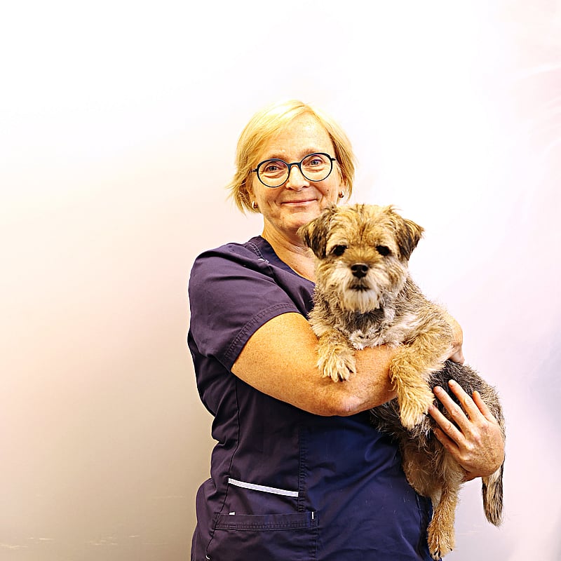 Foto van Cecile ProvƩ, Dierenarts