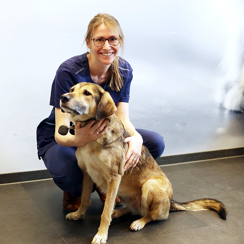 Foto van Eva De Wever, Dierenarts