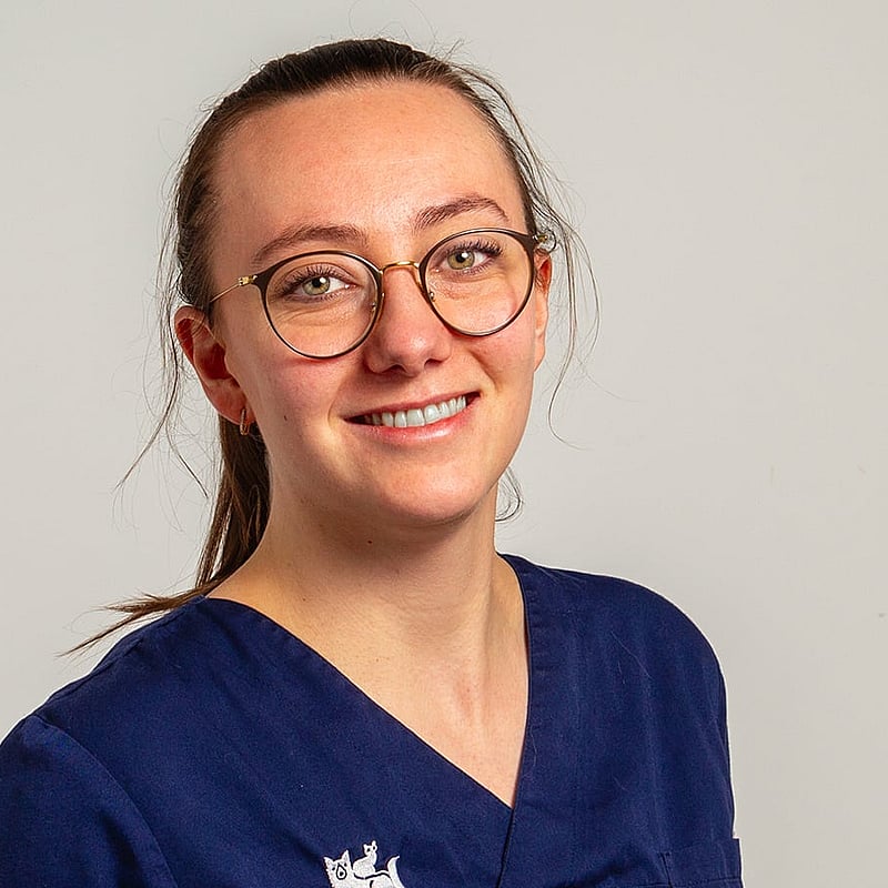 Foto van Pauline Raeijmaekers, Dierenarts