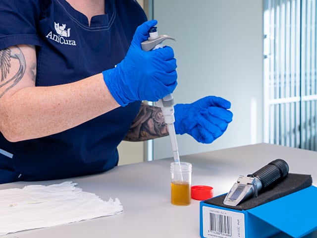 Een persoon in blauwe scrubs en handschoenen die een druppelaar vasthouden.