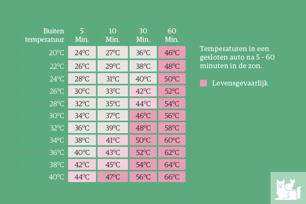 Een grafiek van temperatuur.