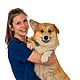 Foto van Inne Callewaert, Dierenartsassistente