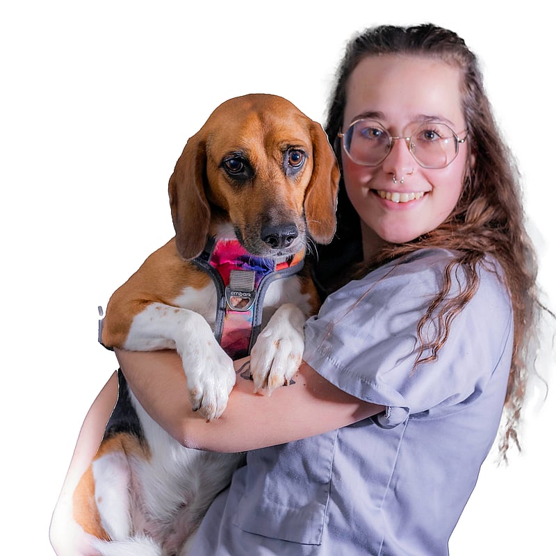 Foto van Manon Jacqmin, Dierenartsassistente