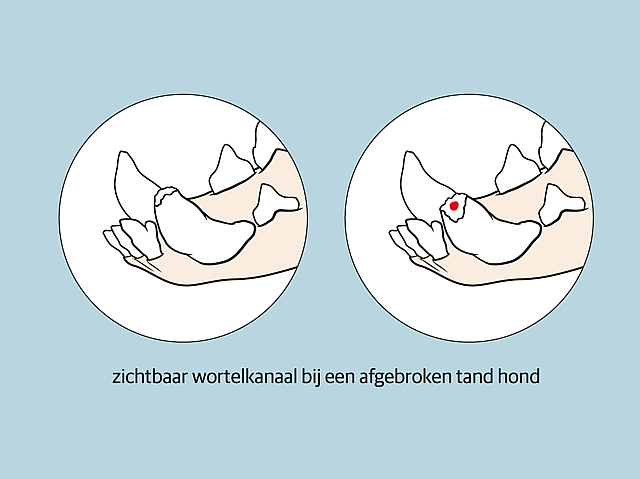Een paar handen met rode harten.