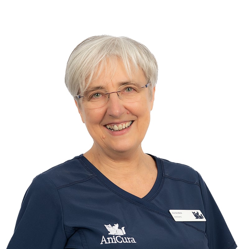 Photo de Ann De Blick, Vétérinaire