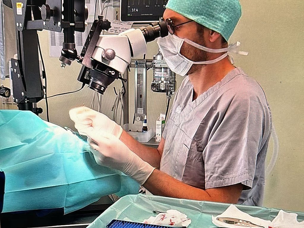 Een persoon met een chirurgisch masker en handschoenen die door een microscoop kijken.