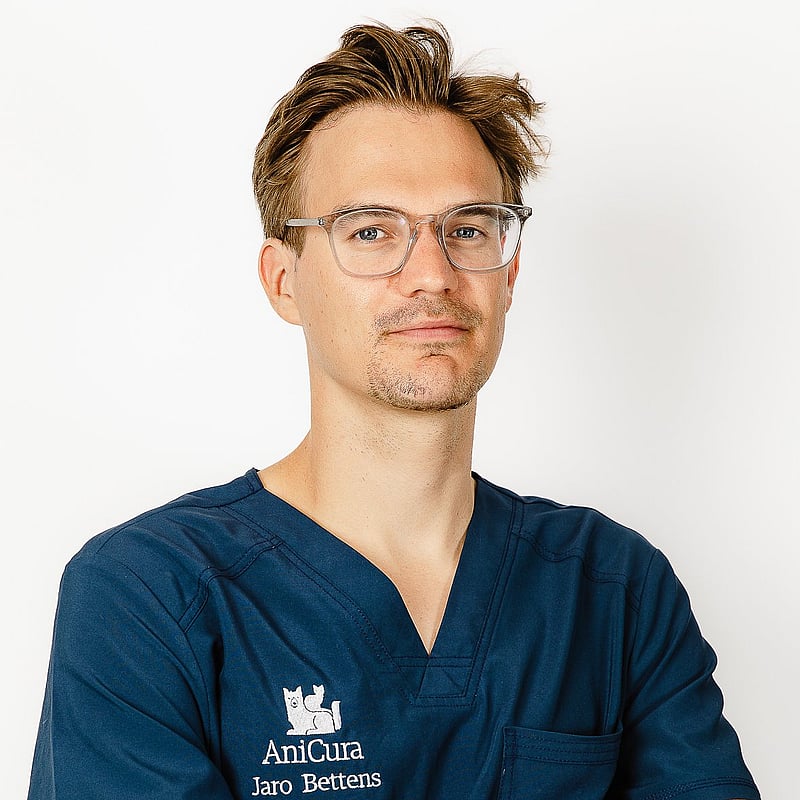 Foto van Jaro Bettens, Dierenarts