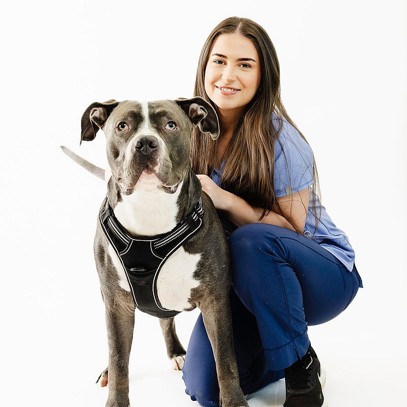 Foto van Arantxa Guttierez Poo, Dierenartsassistente
